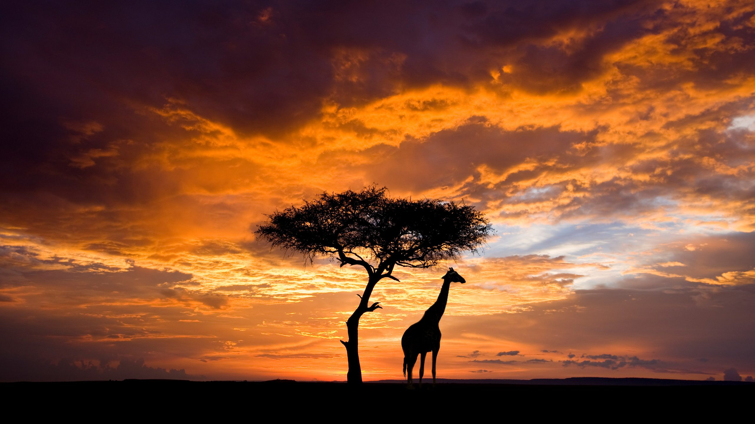 Painting in New World